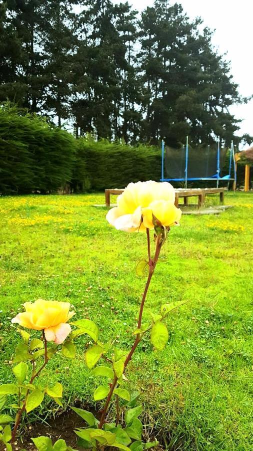 라세레나 Casa Felice 게스트하우스 외부 사진